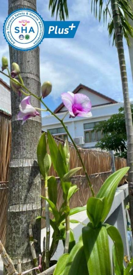 Vivi Boutique Room Hotel Sha Plus Rawai Bagian luar foto